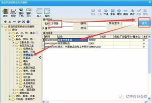 百旺稅控開票系統(tǒng)商品和服務(wù)稅收分類編碼操作手冊 計(jì)算機(jī)系統(tǒng)服務(wù)